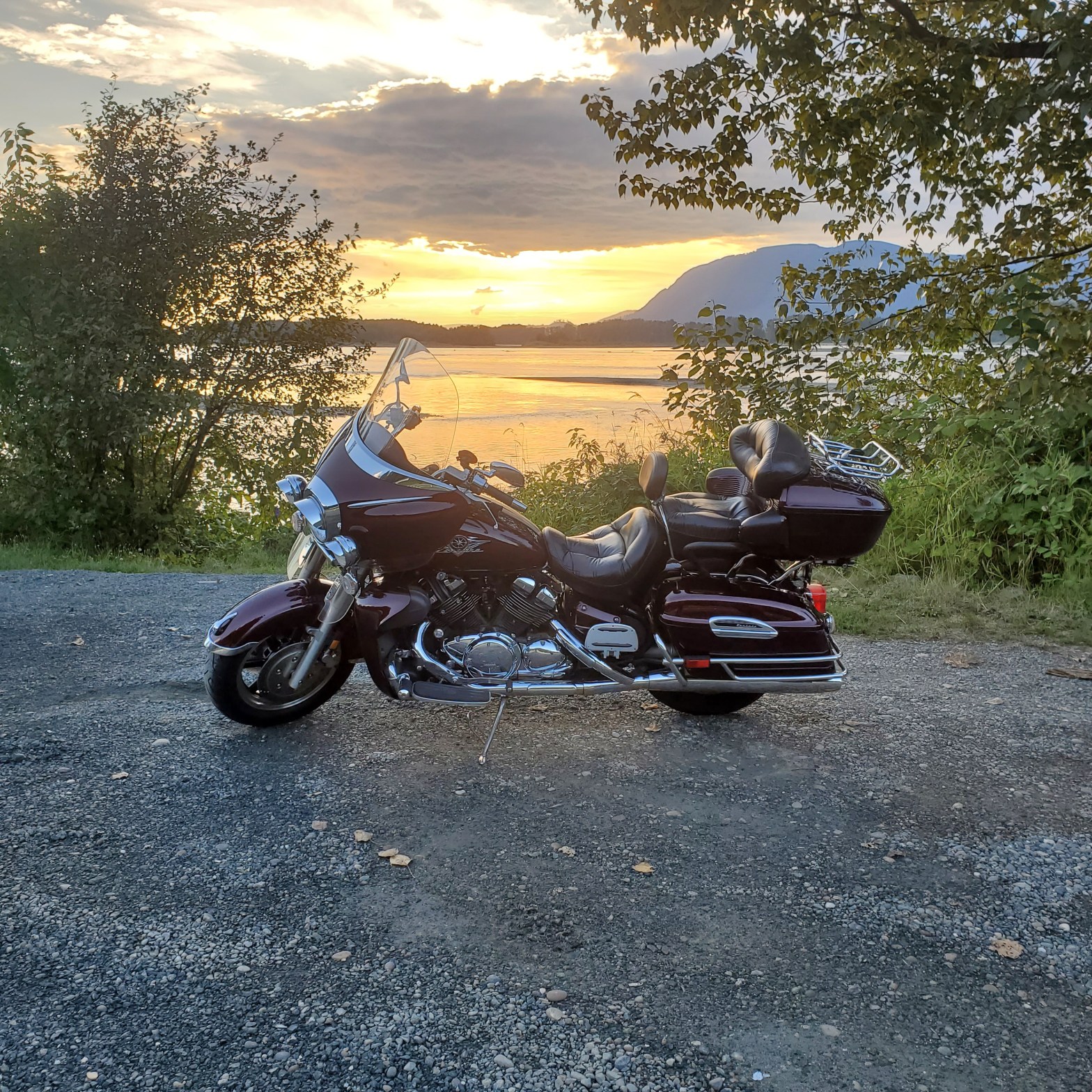 Royal Star on a riverbank at sunset